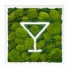 Moosbild Cocktail I Ballenmoos-Mix I Heller Rahmen I Weißer Hintergrund