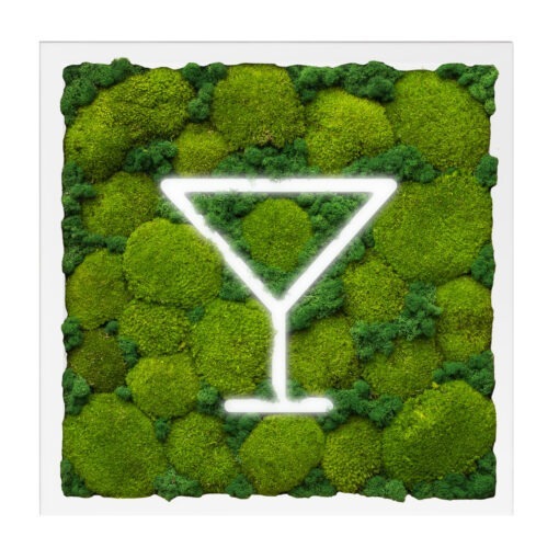 Moosbild Cocktail I Ballenmoos-Mix I Heller Rahmen I Weißer Hintergrund