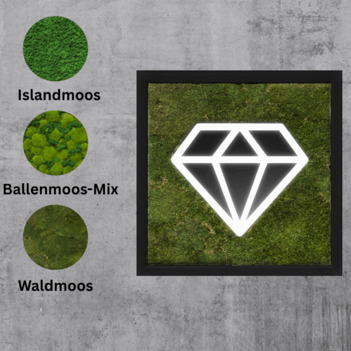 Moosbild Diamant I Waldmoos I Moosarten