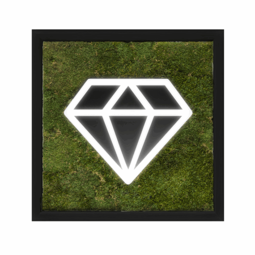 Moosbild Diamant I Waldmoos I Schwarzer Rahmen