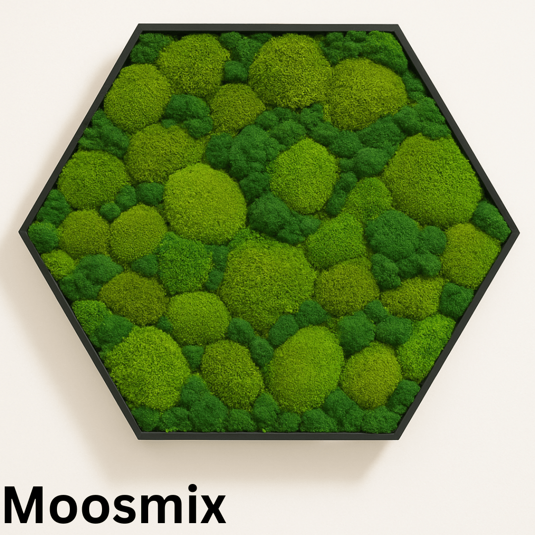 Moosbild Hexagon – Bild 3