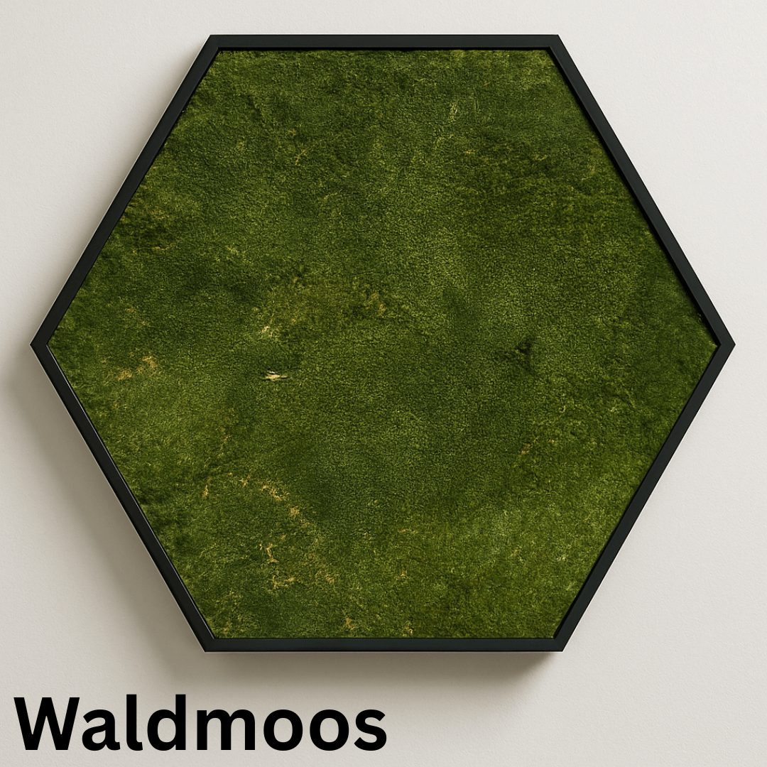 Hexagon Waldmoos