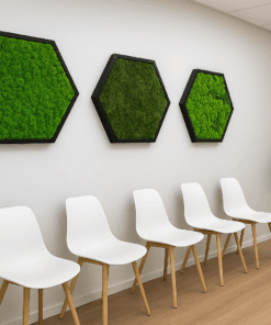 Moosbild Hexagon I Praxis